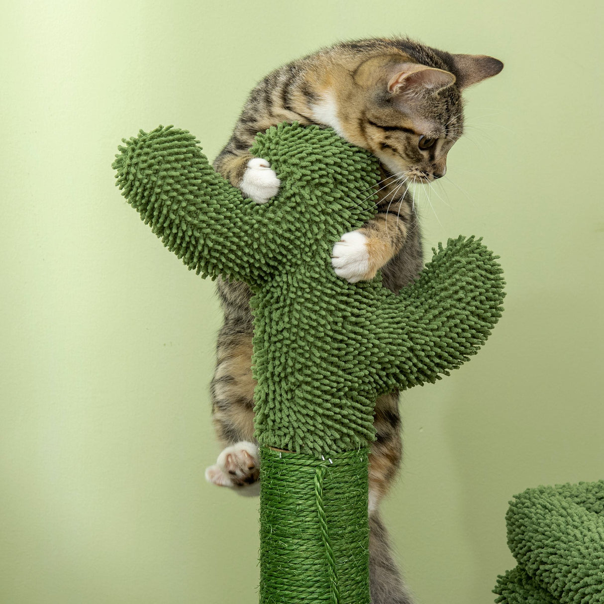 easycomfort tiragraffi per gatti con lettino casetta e palo in sisal a forma di cactus 68x30x67cm verde