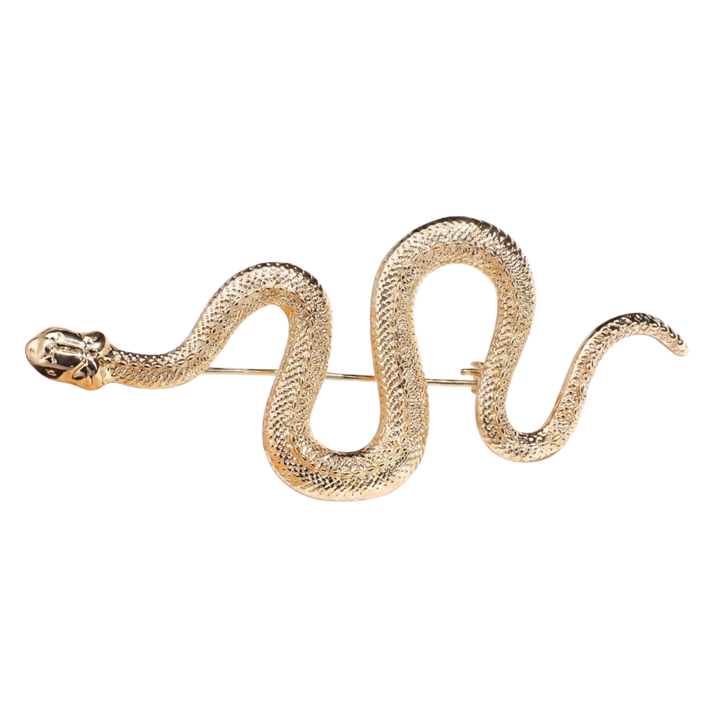 Broche Serpent Vintage