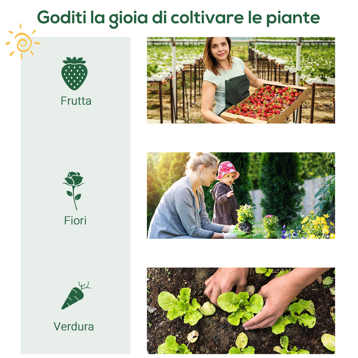 easycomfort serra da giardino con ripiani in metallo copertura in pe e porta avvolgibile 80x49x160cm verde