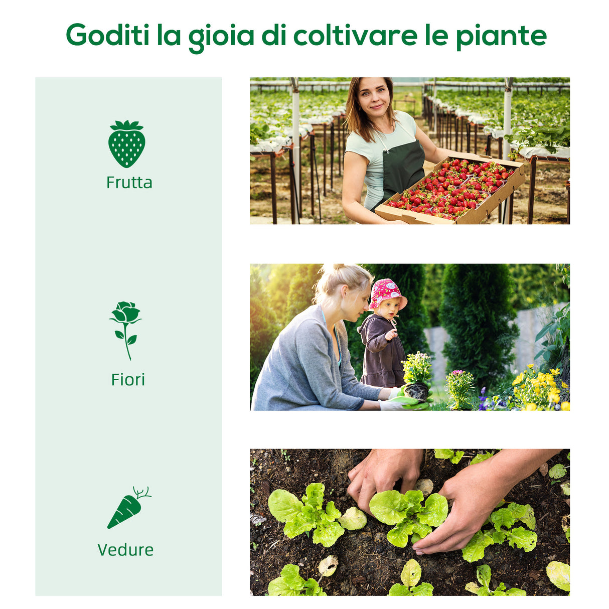 easycomfort easycomfort serra piccola per giardino e balcone con finestre e copertura in pe 180x90x70cm verde