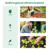 easycomfort easycomfort serra piccola per giardino e balcone con finestre e copertura in pe 180x90x70cm verde