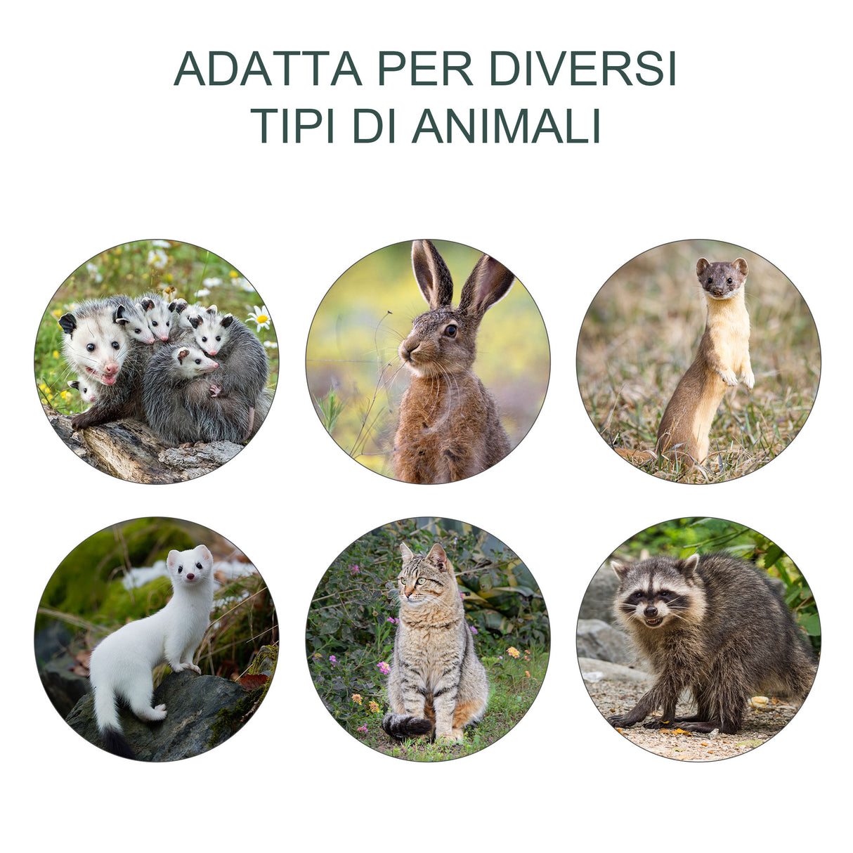 easycomfort easycomfort gabbia trappola per ratti topi e nutrie pieghevole in acciaio 93x31x34 5cm argento
