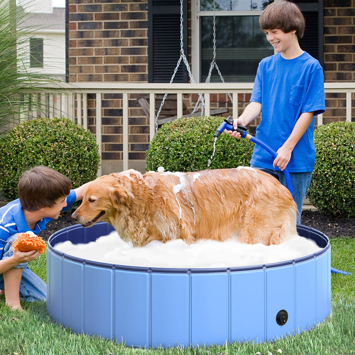 easycomfort easycomfort piscina in plastica bordo stabile per cani animali domestici blu 120x30cm