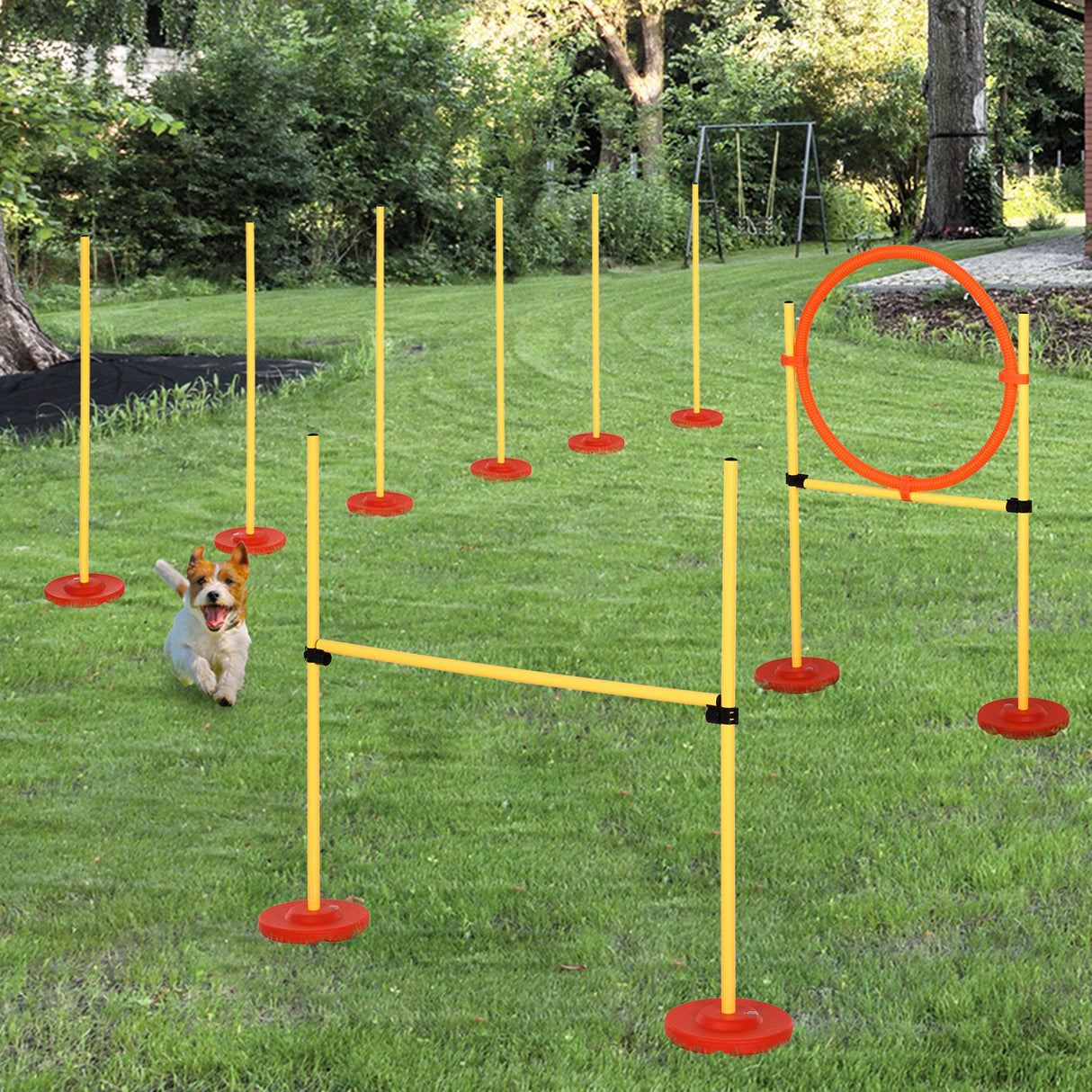easycomfort easycomfort set agility dog con paletti ed anello regolabile per addestramento cani