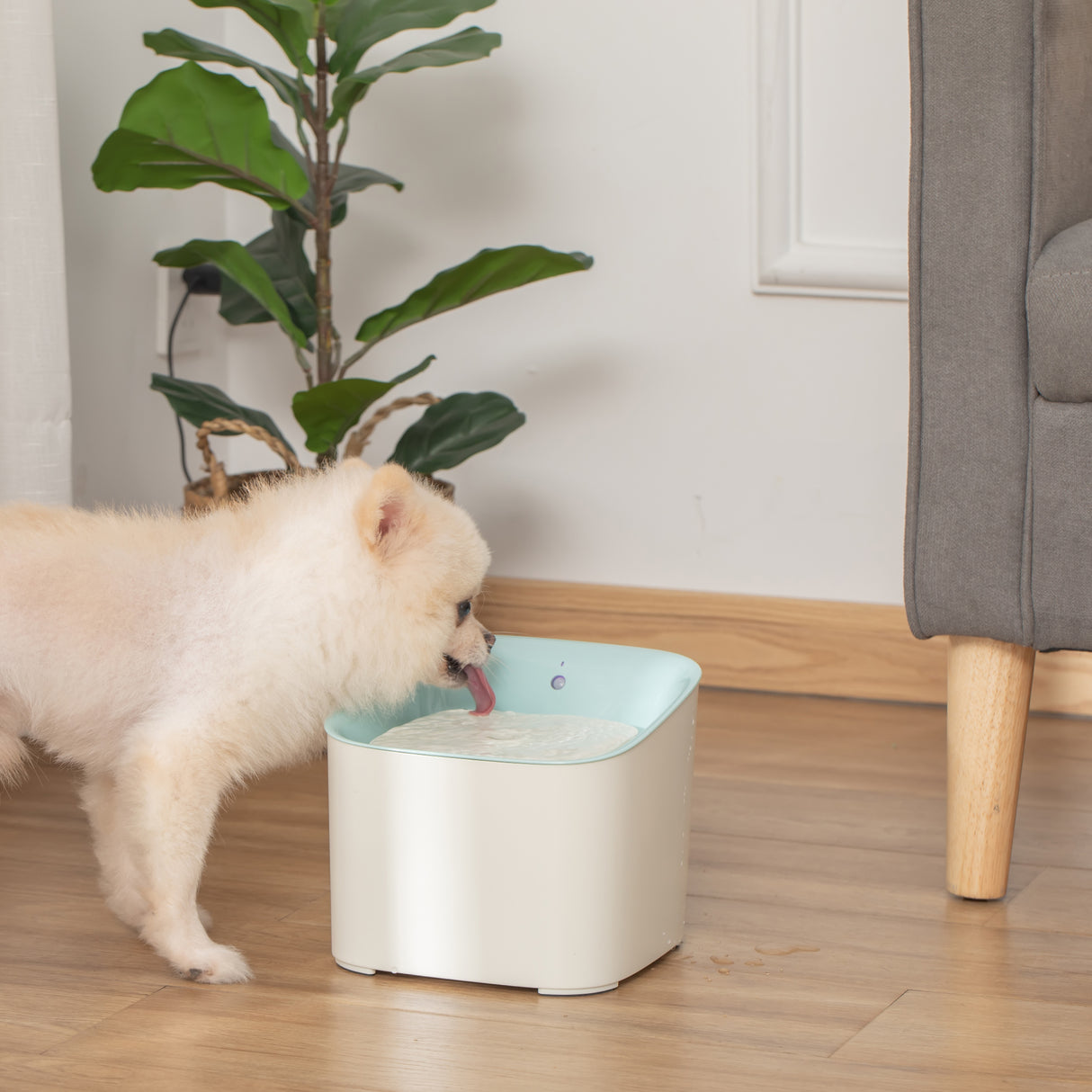 easycomfort easycomfort fontanella per gatti e cani da 3l con filtro a carboni luce led e sensore di movimento bianco