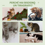 easycomfort easycomfort albero tiragraffi per gatti fino 4 5kg a forma di cactus con palline e cuccia 60x35x78cm verde