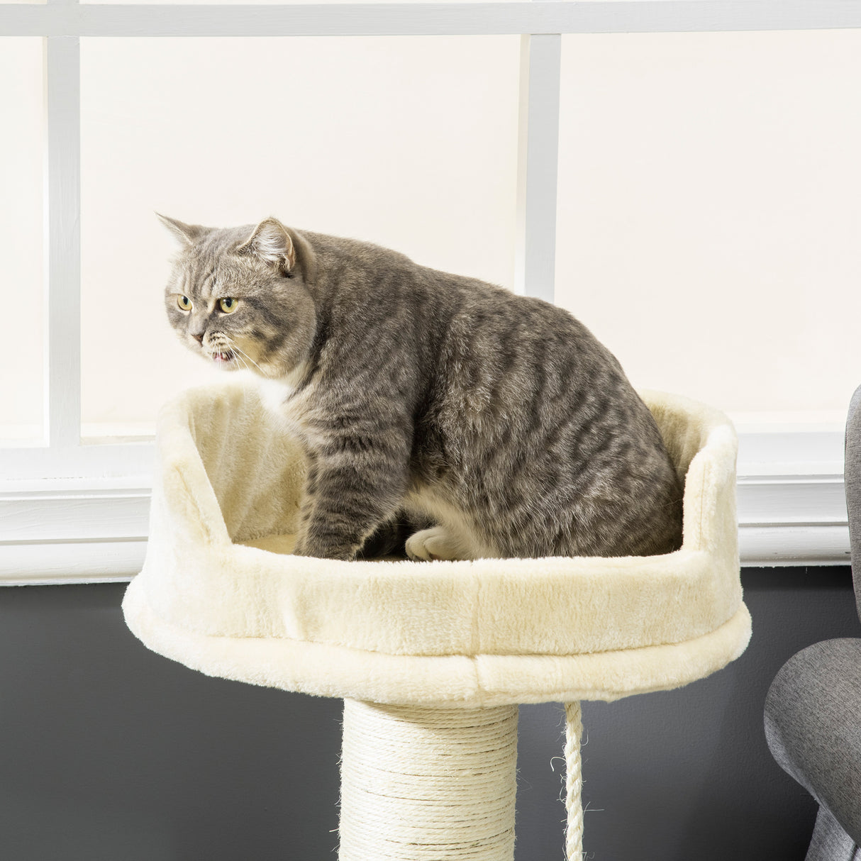 easycomfort easycomfort albero tiragraffi per gatti con lettino e pallina in peluche e palo in sisal 55x55x83cm beige