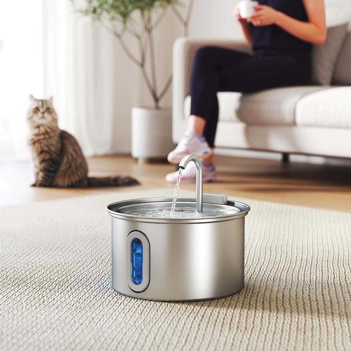 easycomfort easycomfort fontanella per gatto 2 5l con luce led e 2 modalita di flusso in acciaio inox 19 4x19 4x18 7 cm argento