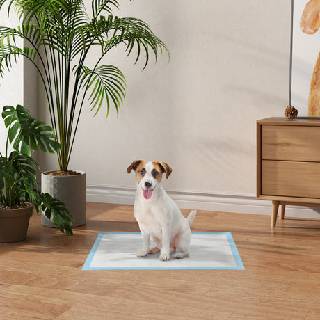 easycomfort easycomfort set 100 tappetini igienici per cani a 6 strati in tessuto non tessuto carta e pe 45x60 cm blu e bianco