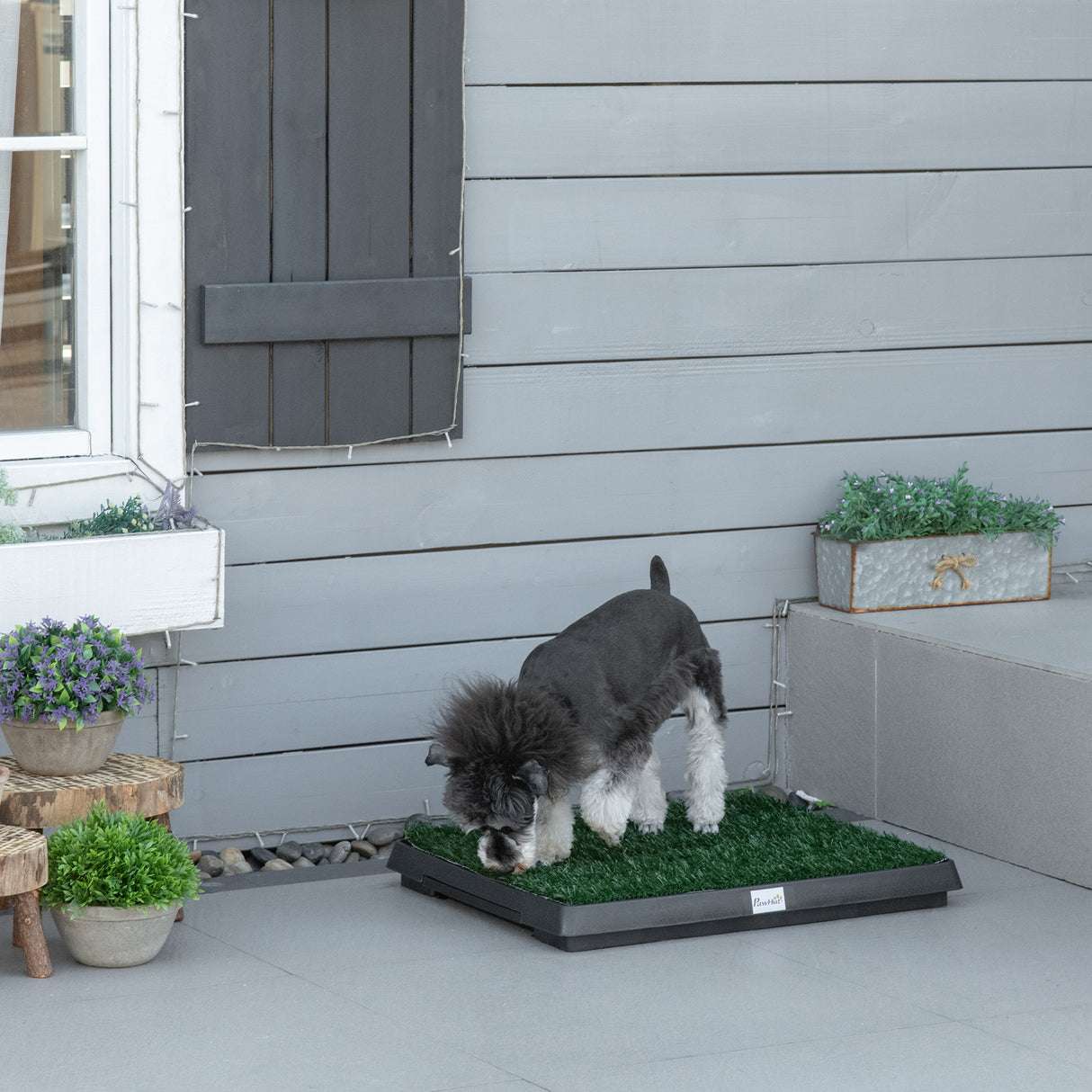 easycomfort easycomfort toilette per cani con prato sintetico e vassoio inferiore per interno ed esterno 51x63 cm