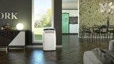 climatizzatore condizionatore portatile olimpia splendid serie dolceclima silent 10 hp 9000 btu con gas r290 wi fi integrato codice 02140