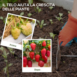 easycomfort easycomfort telo per pacciamatura 2x25 m per orto serra e giardino drenante e traspirante nero